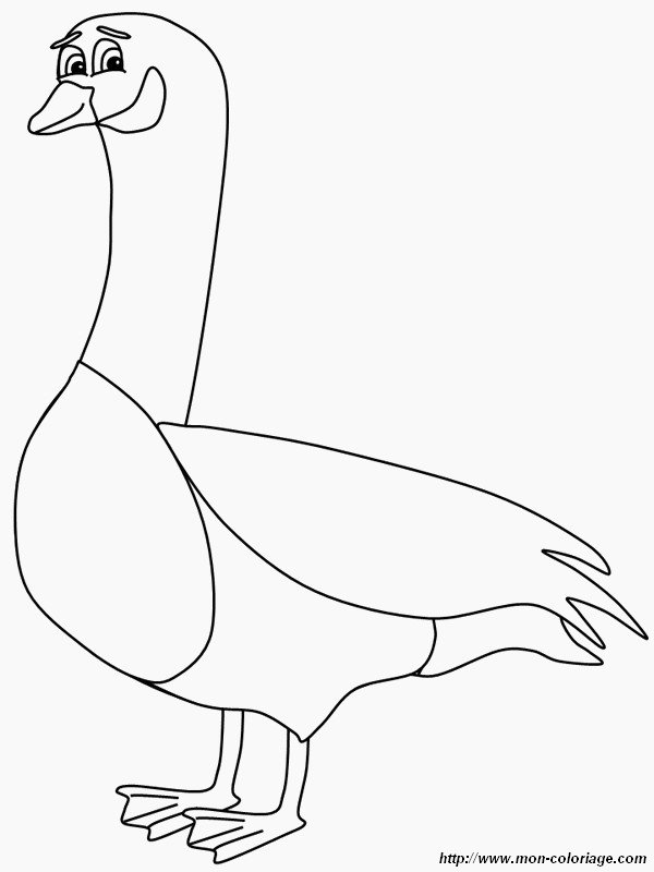 Coloring page: Goose (Animals) #11734 - Free Printable Coloring Pages
