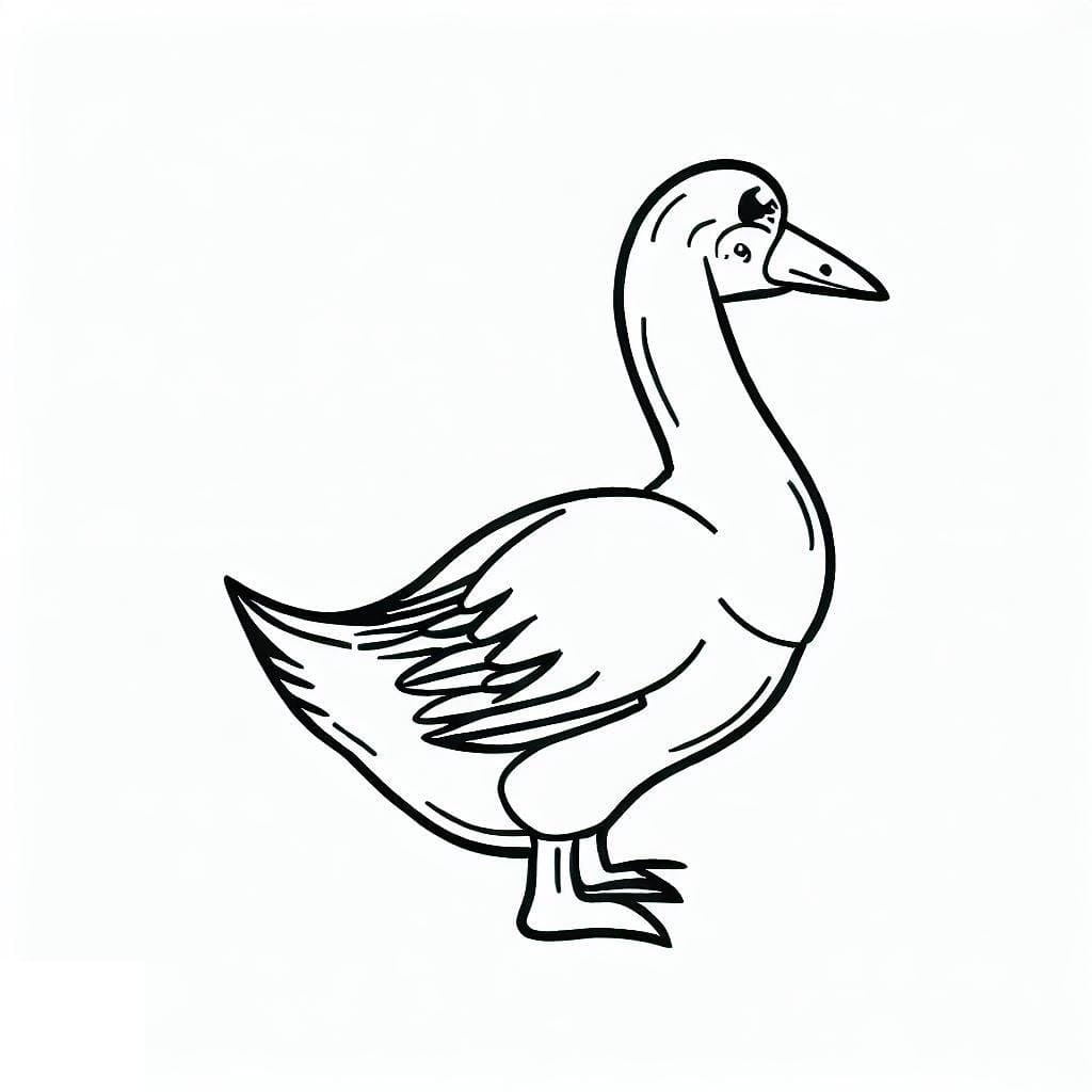 Free printable Goose coloring page #188108 from Animals collection
