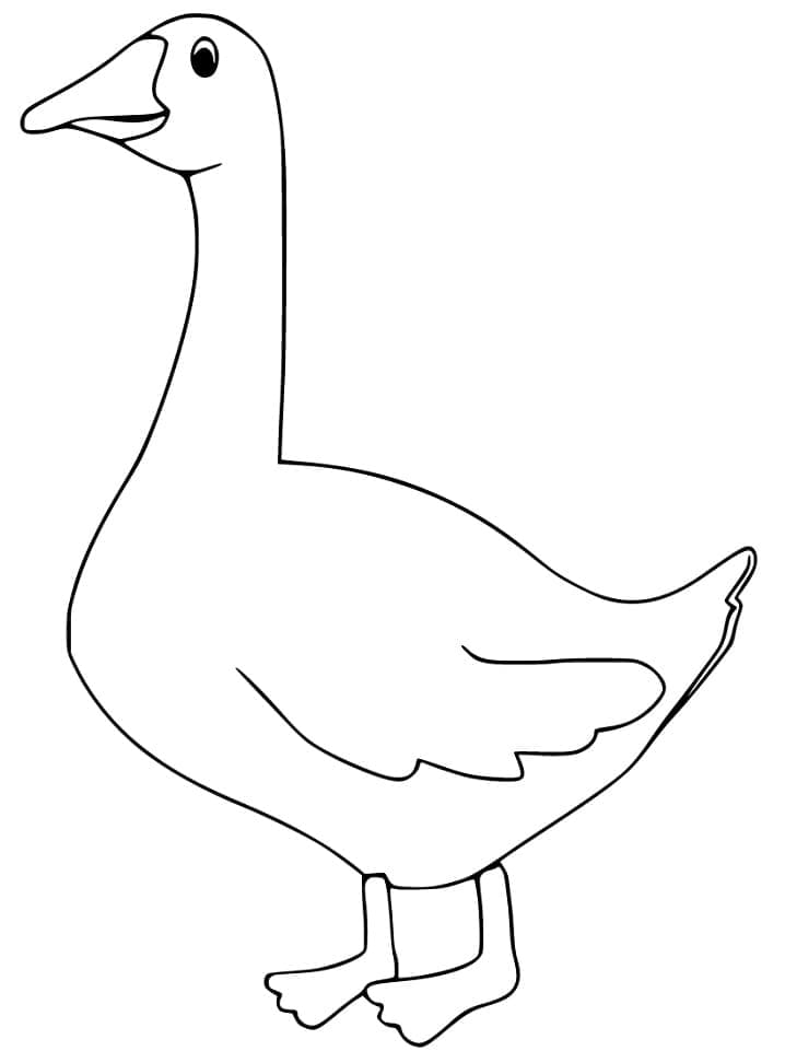 Free printable Goose coloring page #188136 from Animals collection