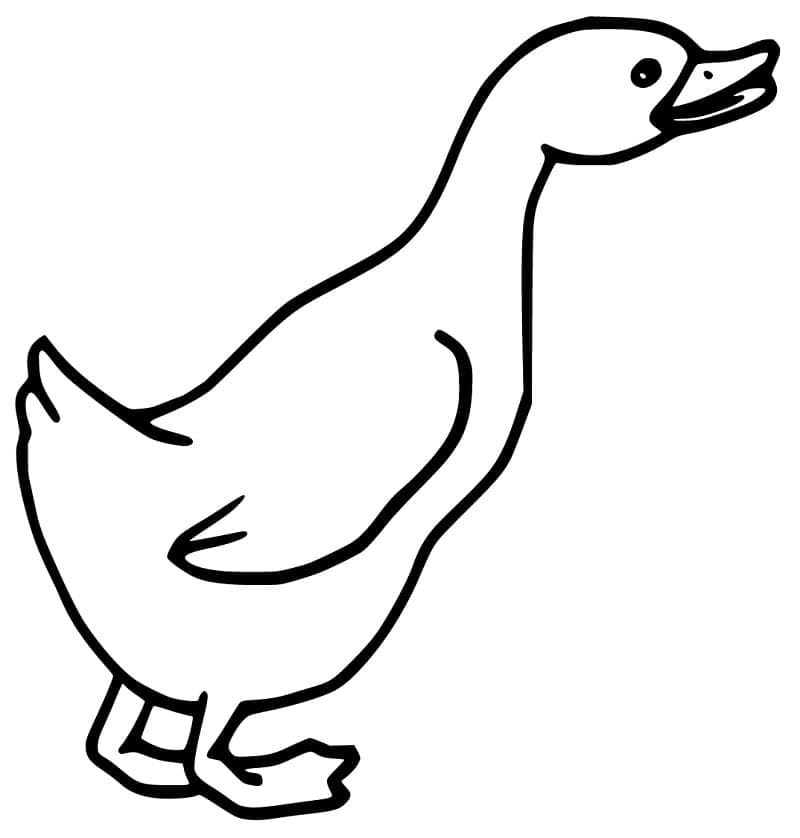 Free printable Goose coloring page #188137 from Animals collection