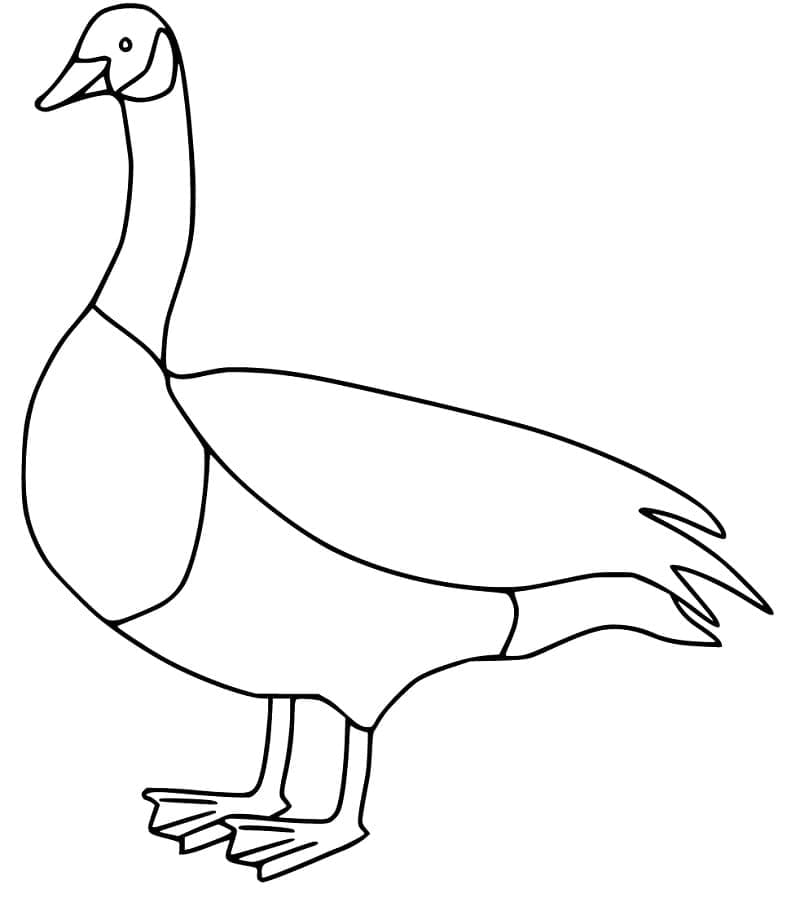 Free printable Goose coloring page #188139 from Animals collection