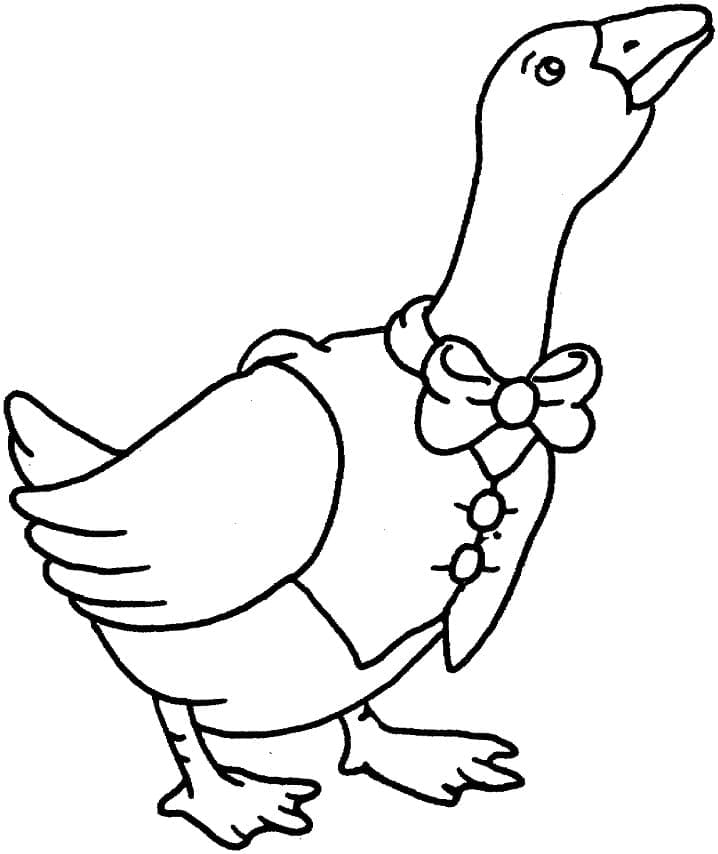 Free printable Goose coloring page #188146 from Animals collection Free printable Goose coloring page #188146 from Animals collection