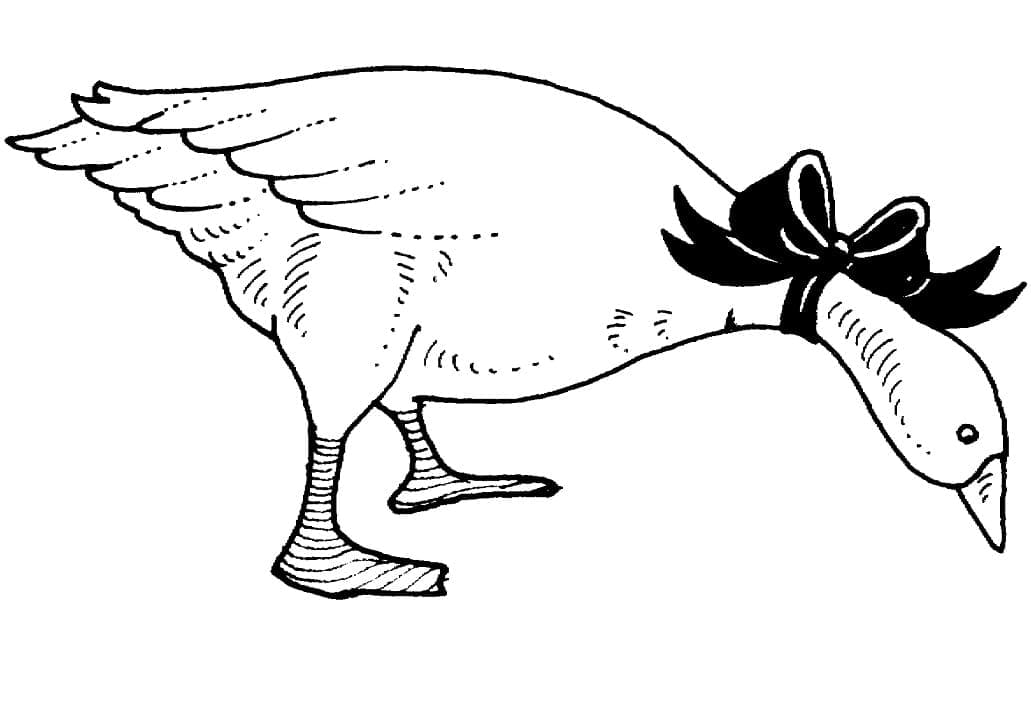 Free printable Goose coloring page #188147 from Animals collection