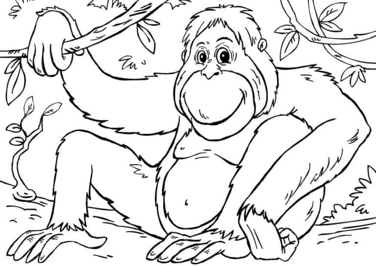 Free printable Gorilla coloring page #188941 from Animals collection