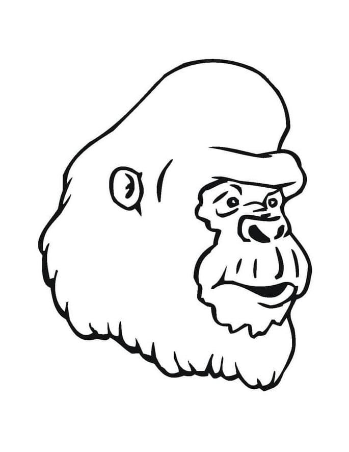 Free printable Gorilla coloring page #188942 from Animals collection