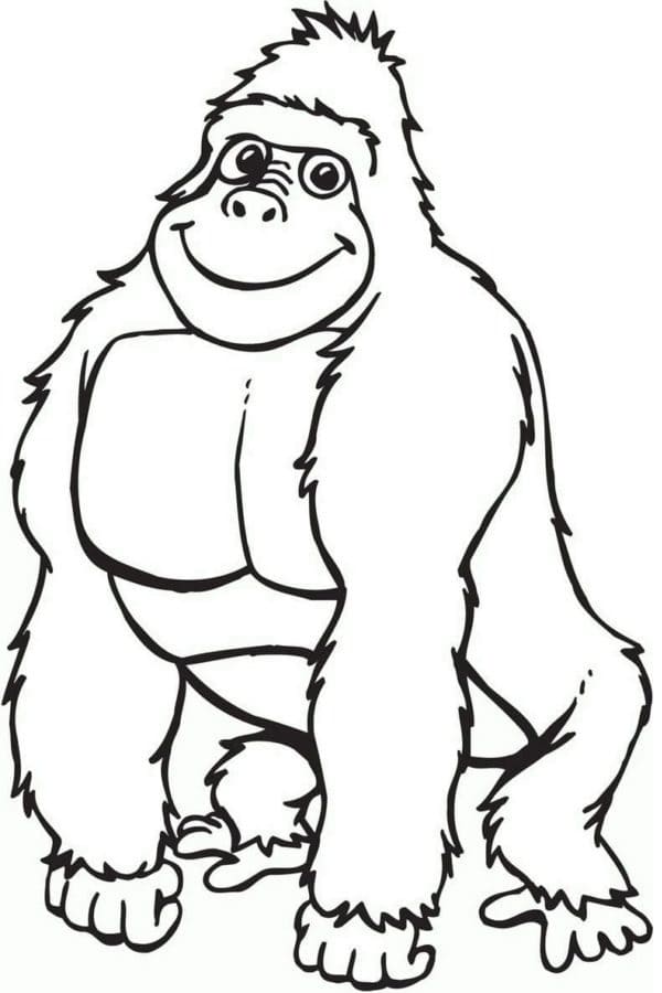 Free printable Gorilla coloring page #188943 from Animals collection Free printable Gorilla coloring page #188943 from Animals collection