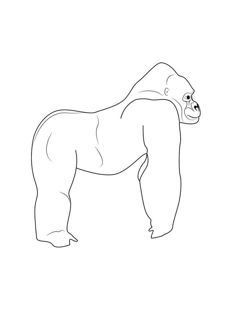 Free printable Gorilla coloring page #188950 from Animals collection