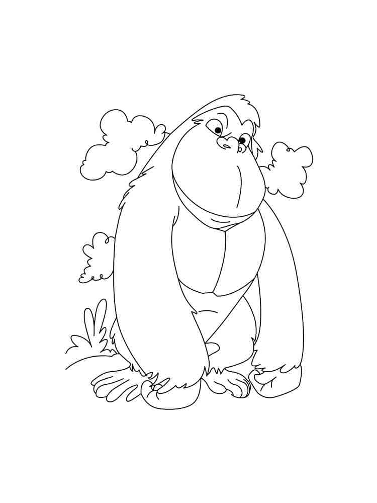 Free printable Gorilla coloring page #188956 from Animals collection