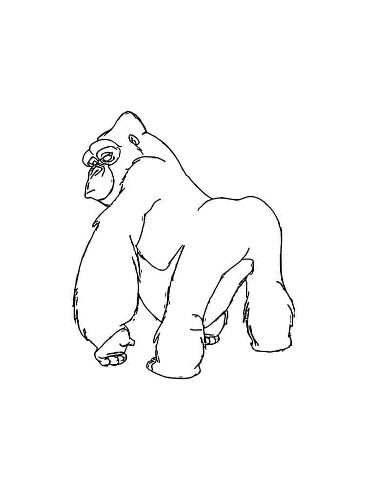 Free printable Gorilla coloring page #188957 from Animals collection