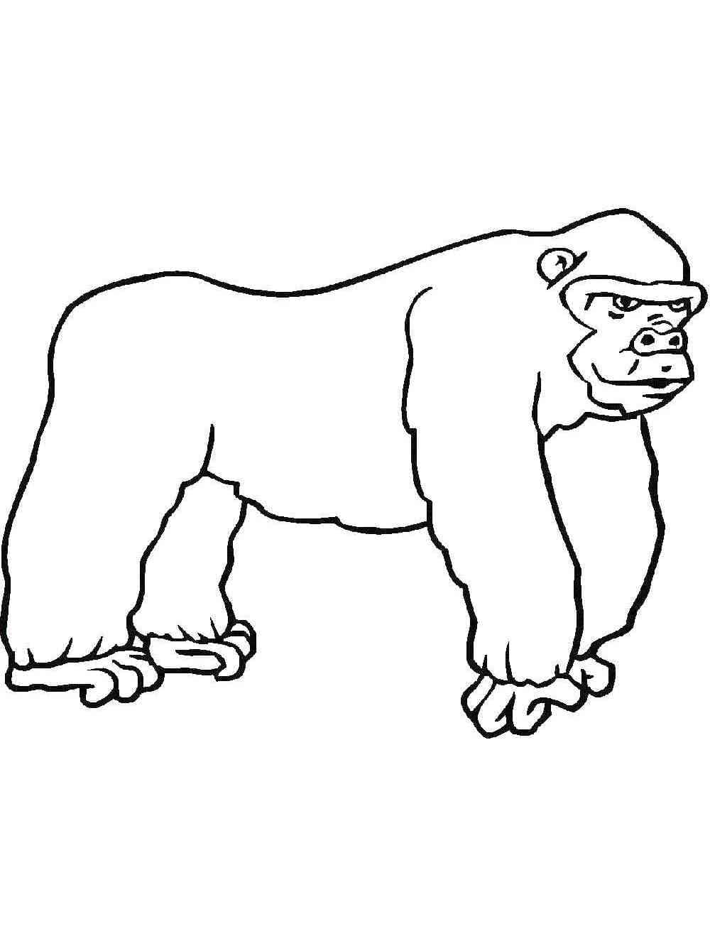 Free printable Gorilla coloring page #188965 from Animals collection