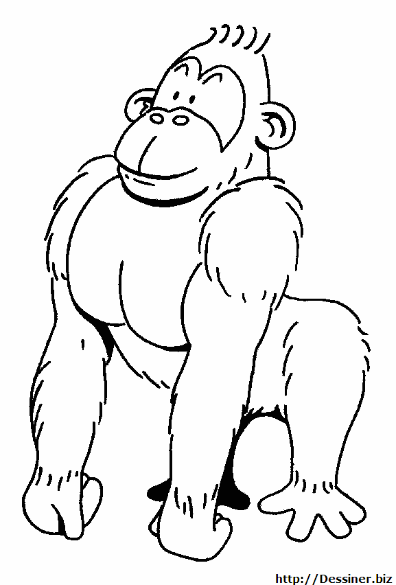 Coloring page: Gorilla (Animals) #7422 - Free Printable Coloring Pages