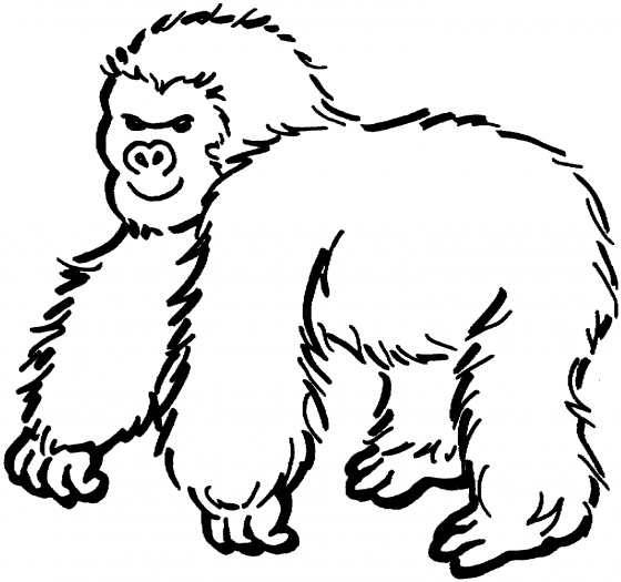 Coloring page: Gorilla (Animals) #7426 - Free Printable Coloring Pages