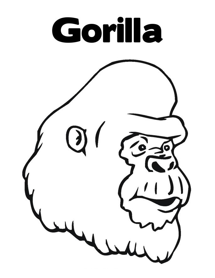 Coloring page: Gorilla (Animals) #7443 - Free Printable Coloring Pages