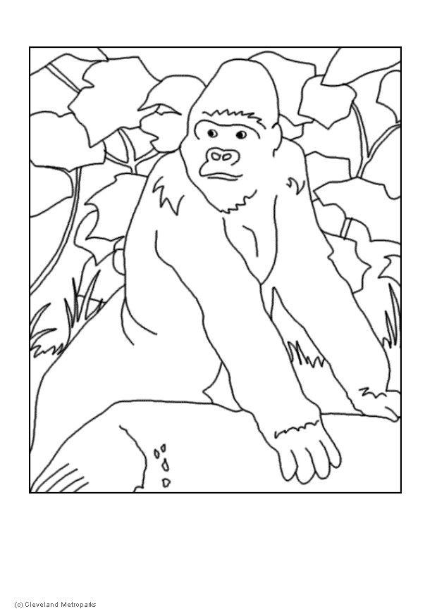 Coloring page: Gorilla (Animals) #7451 - Free Printable Coloring Pages