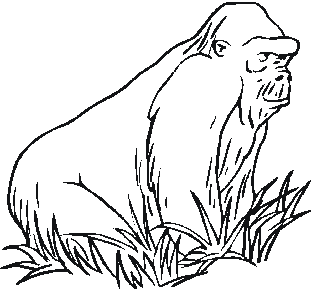 Coloring page: Gorilla (Animals) #7459 - Free Printable Coloring Pages