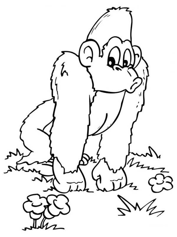 Coloring page: Gorilla (Animals) #7460 - Free Printable Coloring Pages