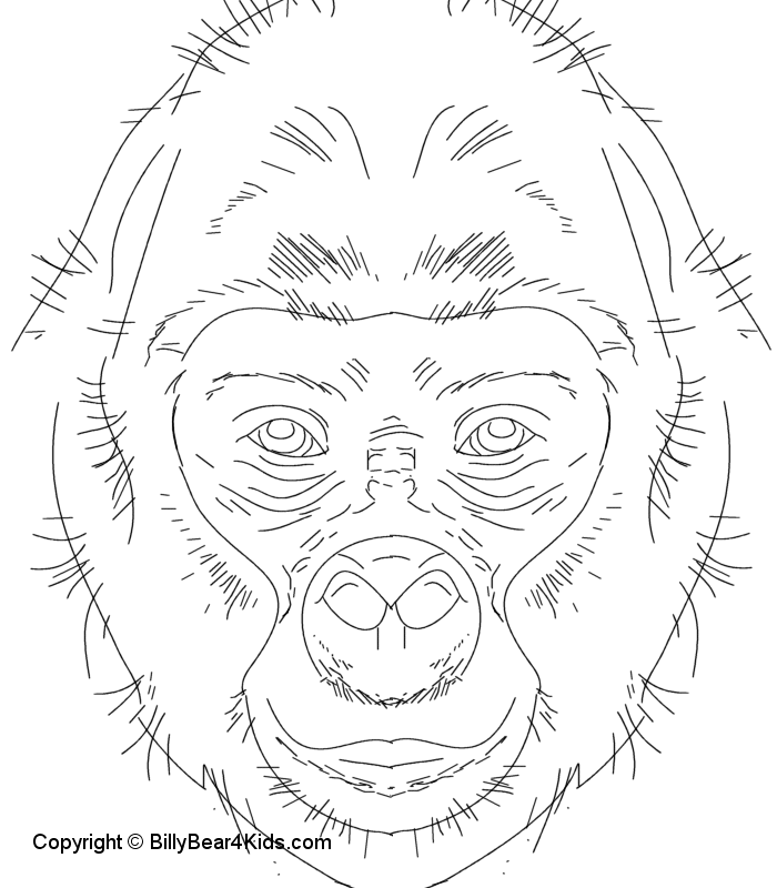 Coloring page: Gorilla (Animals) #7463 - Free Printable Coloring Pages