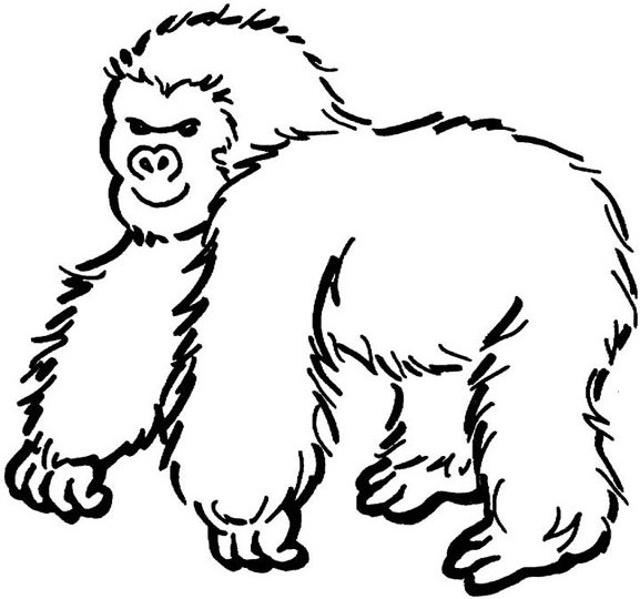 Coloring page: Gorilla (Animals) #7475 - Free Printable Coloring Pages