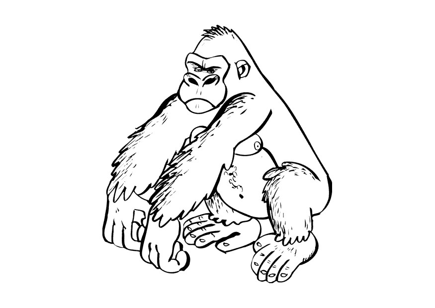 Coloring page: Gorilla (Animals) #7481 - Free Printable Coloring Pages