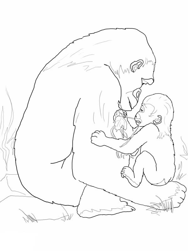 Coloring page: Gorilla (Animals) #7490 - Free Printable Coloring Pages