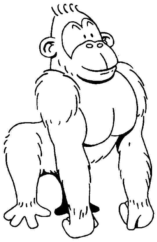 Drawings Gorilla (Animals) – Printable coloring pages