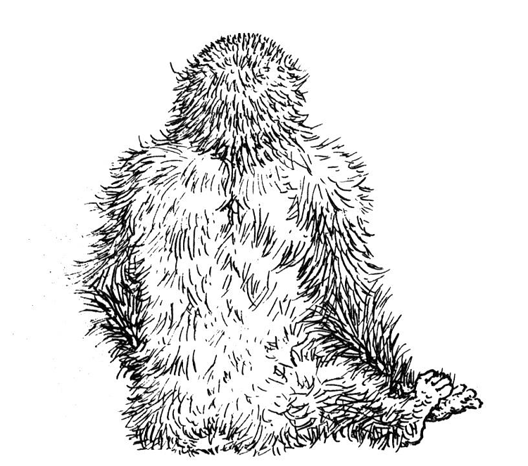Coloring page: Gorilla (Animals) #7507 - Free Printable Coloring Pages