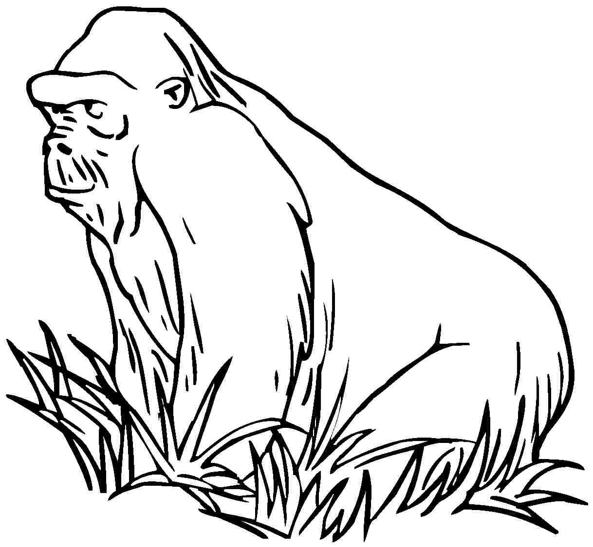 Coloring page: Gorilla (Animals) #7514 - Free Printable Coloring Pages