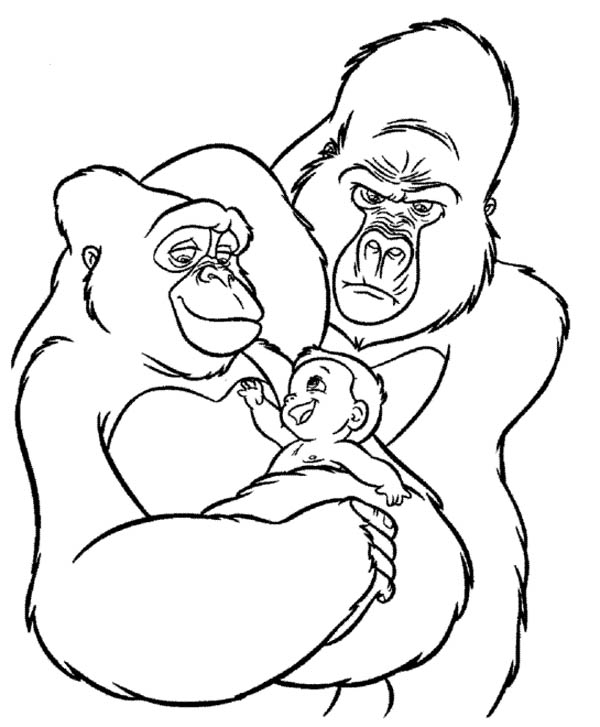 baby silverback gorilla drawing