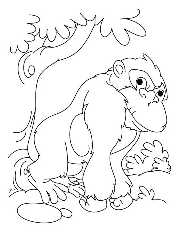 Coloring page: Gorilla (Animals) #7534 - Free Printable Coloring Pages