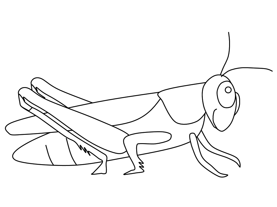 Coloring page: Grasshopper (Animals) #19793 - Free Printable Coloring Pages