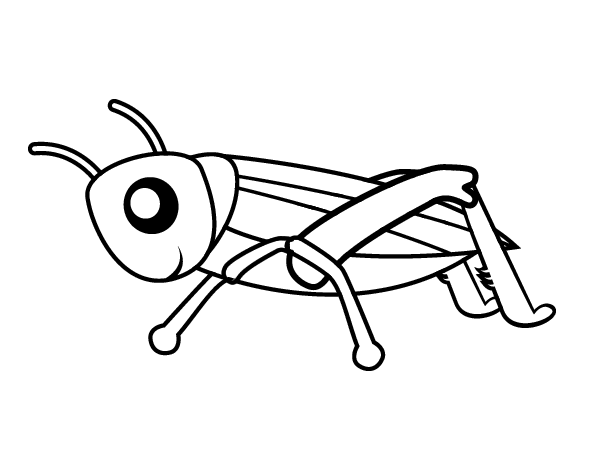 Drawing Grasshopper #19799 (Animals) – Printable coloring pages
