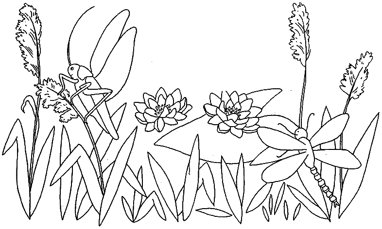 Coloring page: Grasshopper (Animals) #19843 - Free Printable Coloring Pages