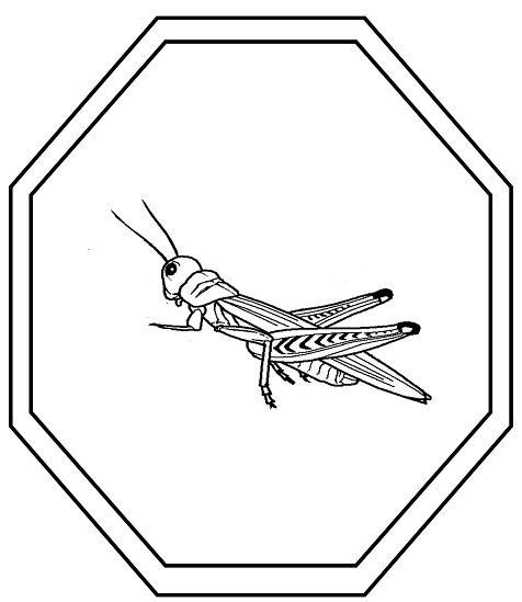 Coloring page: Grasshopper (Animals) #19875 - Free Printable Coloring Pages