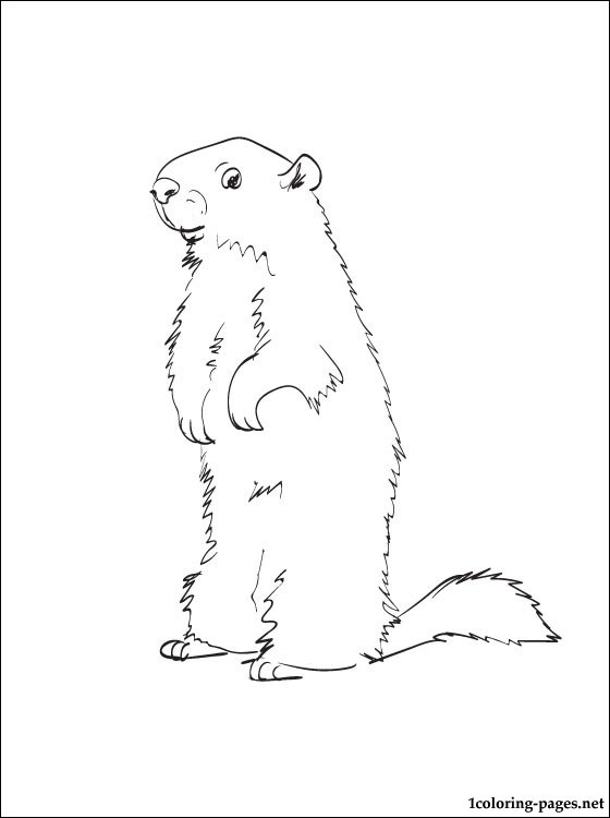 Coloring page: Groundhog (Animals) #10953 - Free Printable Coloring Pages