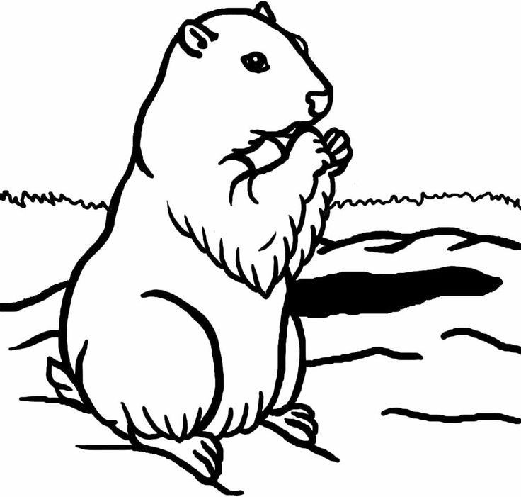 Coloring page: Groundhog (Animals) #10955 - Free Printable Coloring Pages