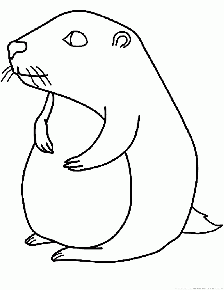 Coloring page: Groundhog (Animals) #10958 - Free Printable Coloring Pages