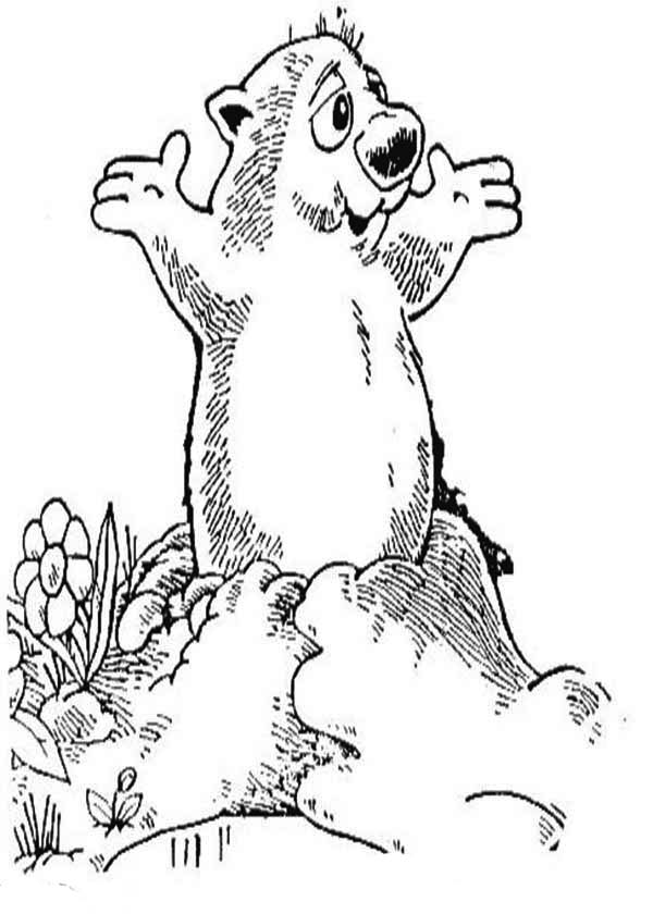 Coloring page: Groundhog (Animals) #10963 - Free Printable Coloring Pages