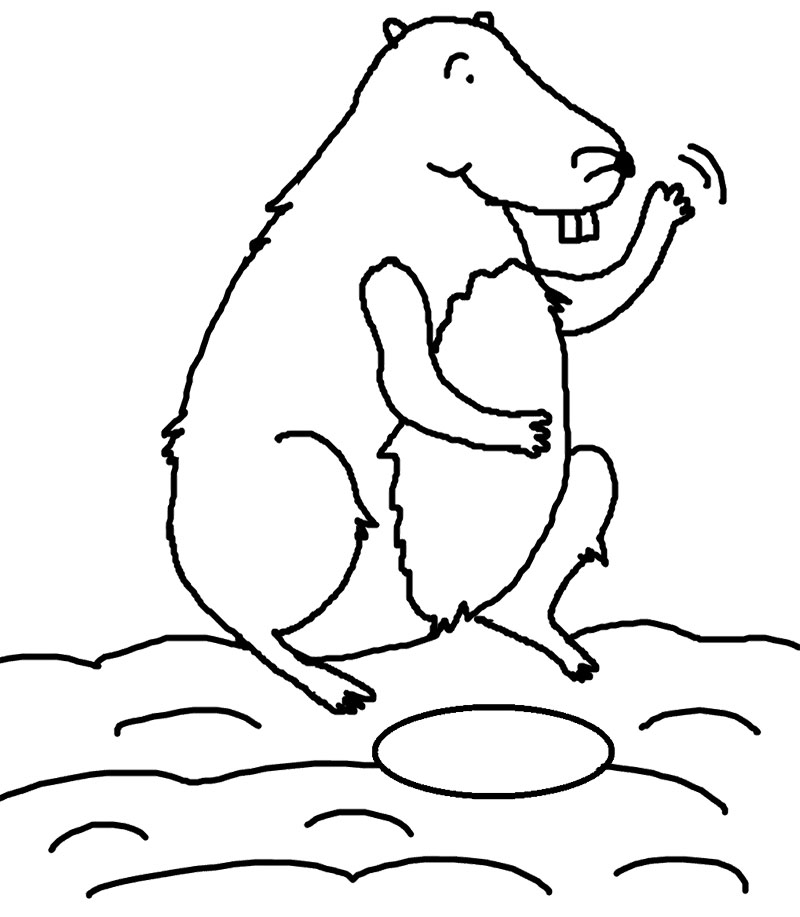 Coloring page: Groundhog (Animals) #10968 - Free Printable Coloring Pages