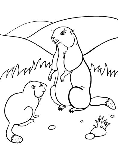 Coloring page: Groundhog (Animals) #10990 - Free Printable Coloring Pages