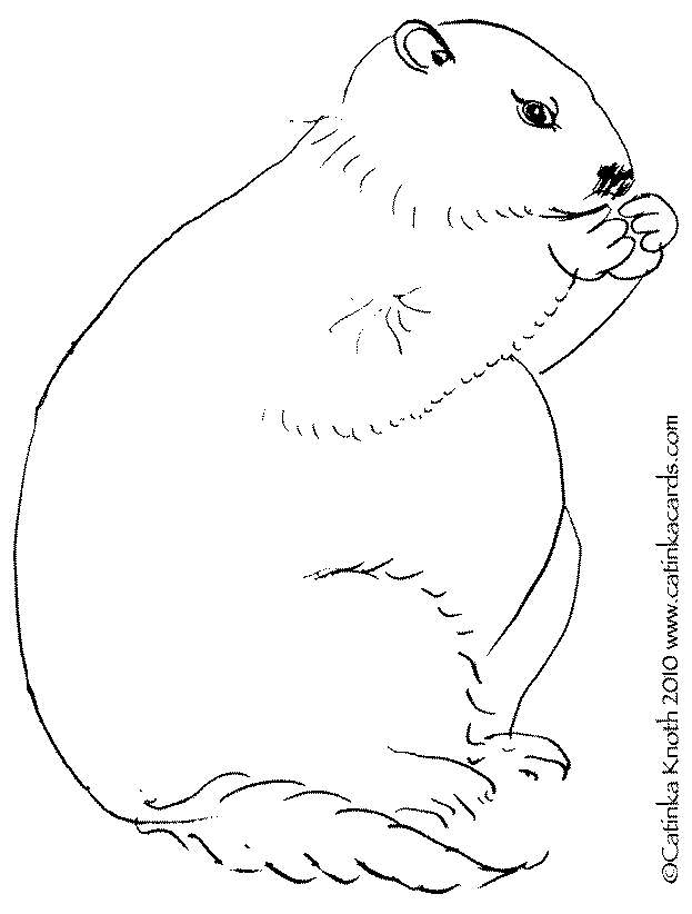 Coloring page: Groundhog (Animals) #11073 - Free Printable Coloring Pages