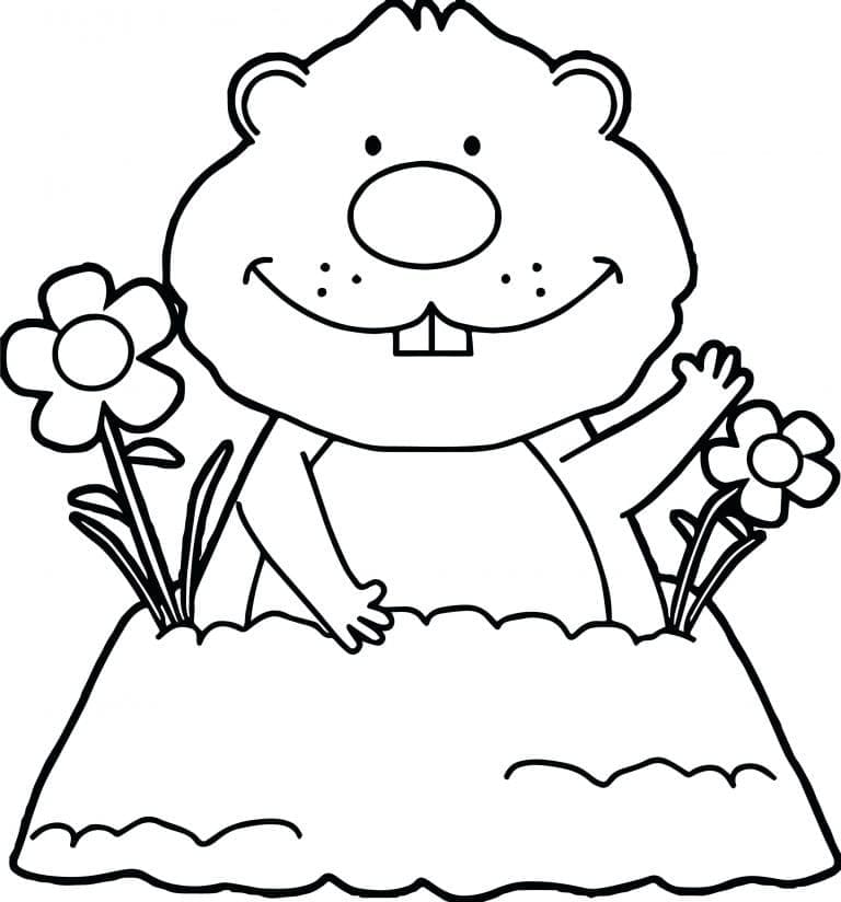 Free printable Groundhog coloring page #212727 from Animals collection