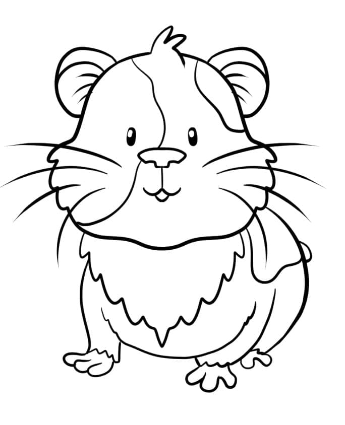 Free printable Guinea Pig coloring page #211118 from Animals collection