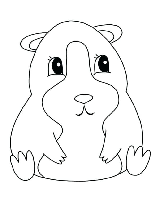 Free printable Guinea Pig coloring page #211119 from Animals collection