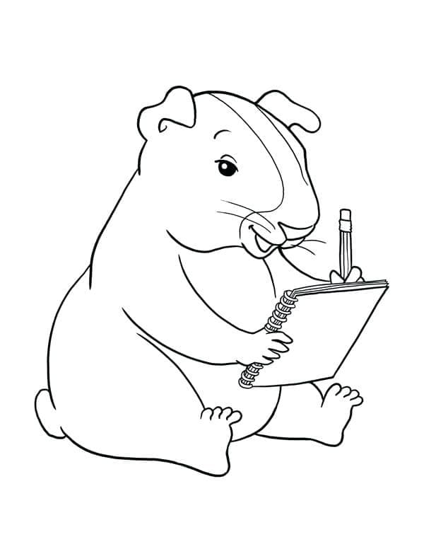Free printable Guinea Pig coloring page #211129 from Animals collection