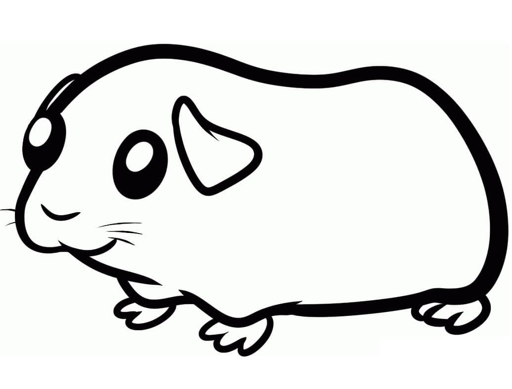 Free printable Guinea Pig coloring page #211130 from Animals collection