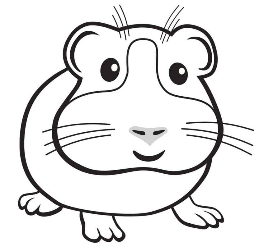 Free printable Guinea Pig coloring page #211147 from Animals collection Free printable Guinea Pig coloring page #211147 from Animals collection