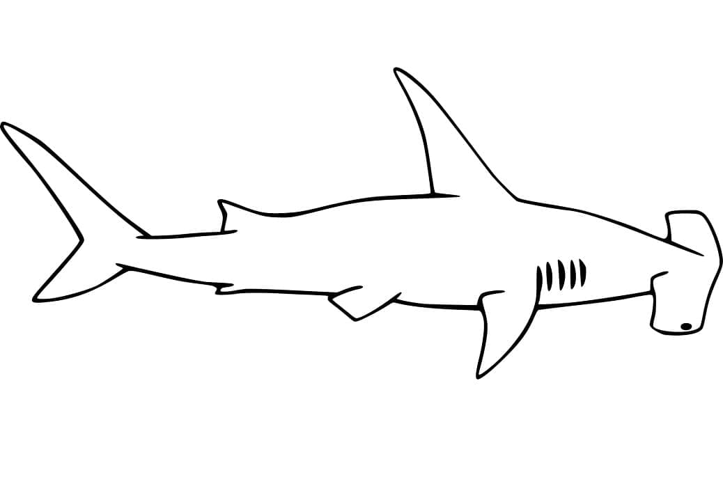 Free printable Hammerhead shark coloring page #221002 from Animals collection