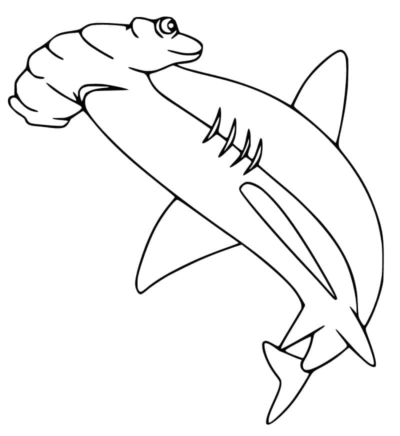 Free printable Hammerhead shark coloring page #221003 from Animals collection
