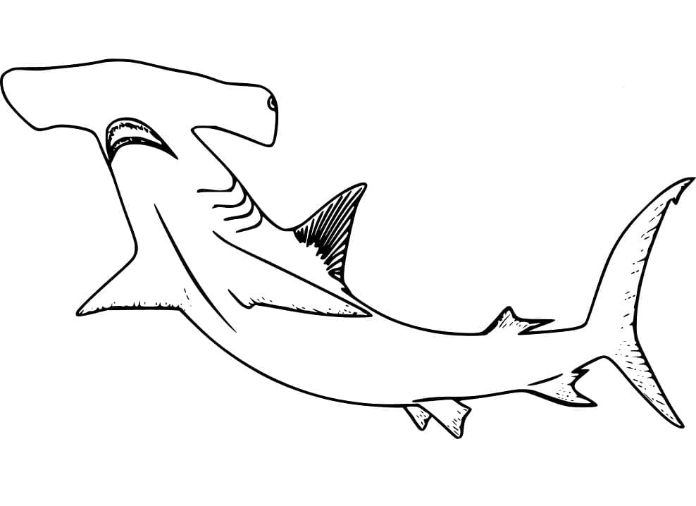Free printable Hammerhead shark coloring page #221009 from Animals collection Free printable Hammerhead shark coloring page #221009 from Animals collection