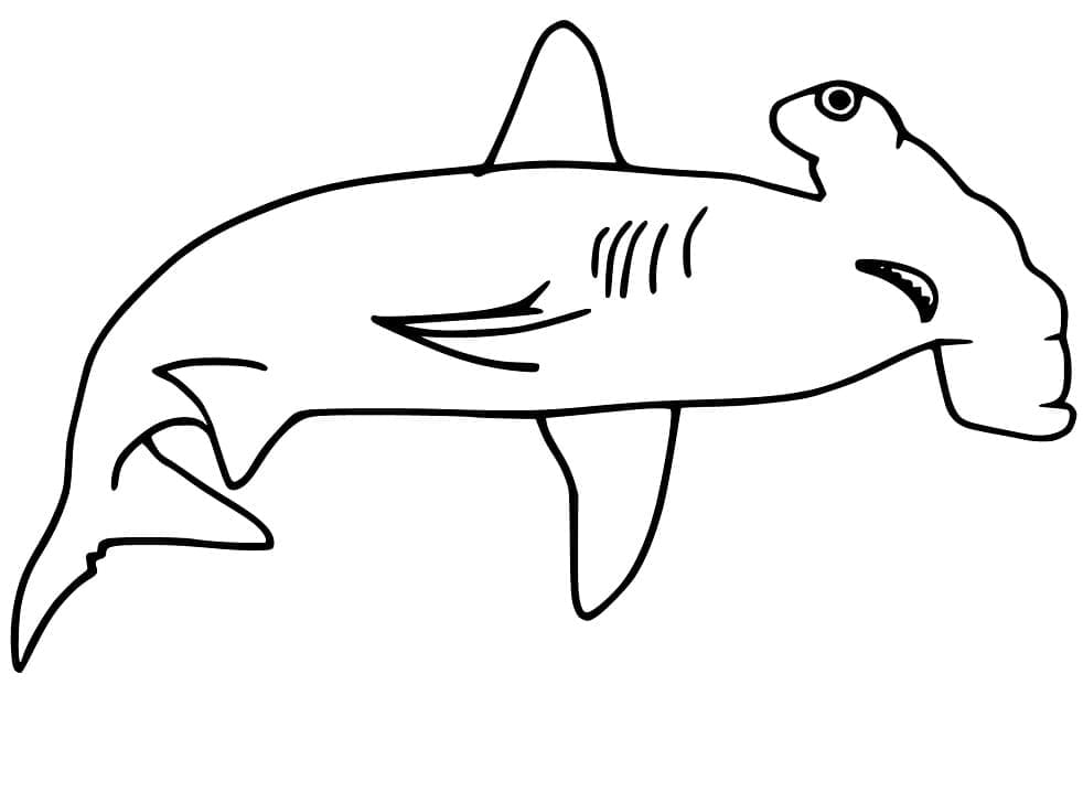 Free printable Hammerhead shark coloring page #221010 from Animals collection